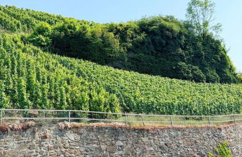 Ferienhaus Merl - Foto 7