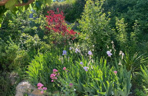 Le Jardin de Lau - Photo 38