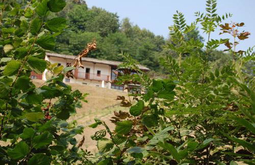 Sere di Sosta - Photo 41