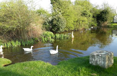 Jackdaw's Roost - Foto 23