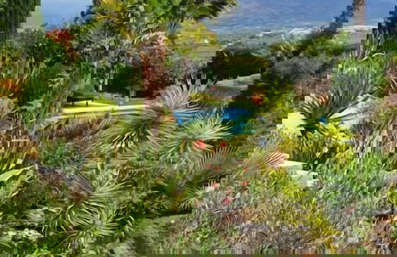 Bed & Breakfast Casa don Carlos - Foto 60