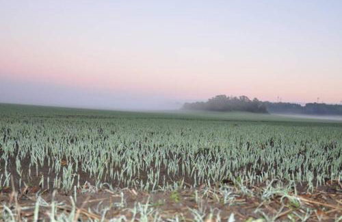 Ferienhaus Woddow Uckermark - Foto 20