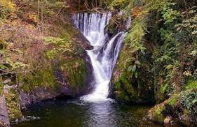 Poets Cottage Eglwys Fach - Foto 37