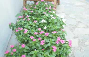 Mirsini Apartments - Foto 27