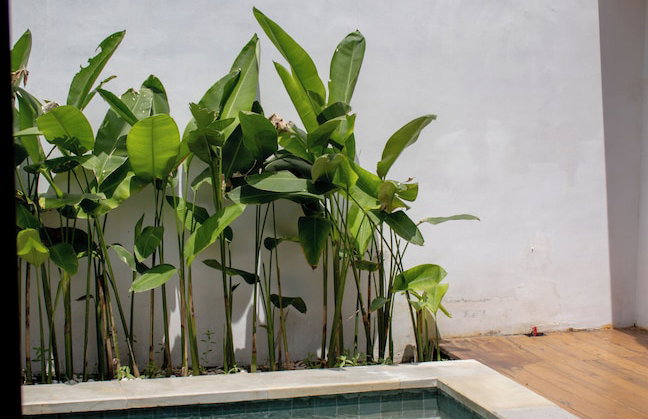 RATU Village – Luxury Island Apartment & Private Villa Gili Air - Foto 55