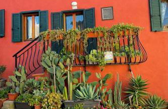 La Cartomante di Bonaparte - Foto 31