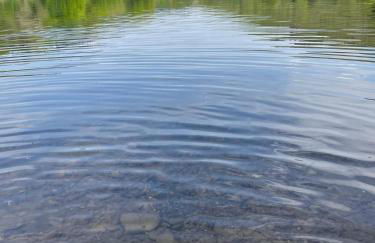 Eifelbrise - Foto 25