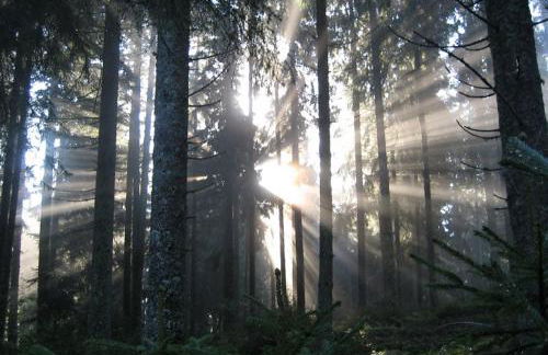 Haus Janßen-Wehrle - Foto 16
