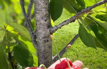 Villa Evanthia - Foto 43