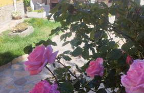 Casa rural los 7 pinos de Gredos - Foto 76