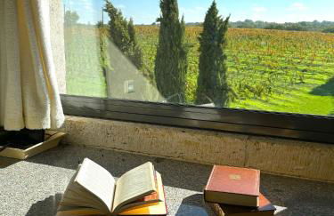 Domaine Coeur des Vignes - Foto 41