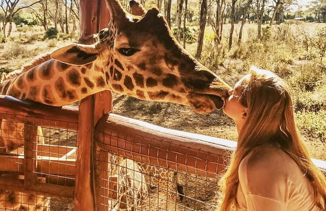 The Studio Nairobi 5 Luxury - Foto 23