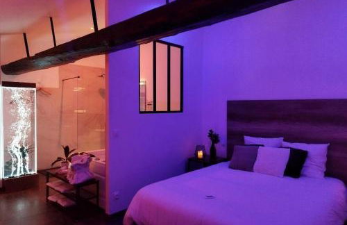 Les Sansonnets Appart & Spa - Foto 14