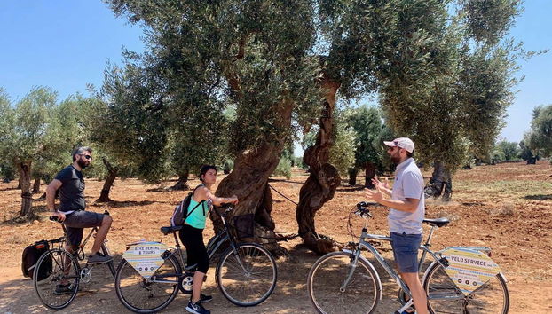 Monopoli Bike Tour - Foto 4