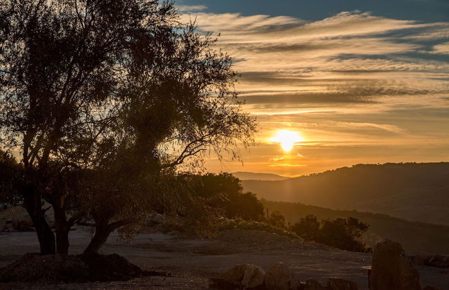 Masseria Straziuso - La Vaccariccia - Photo 46