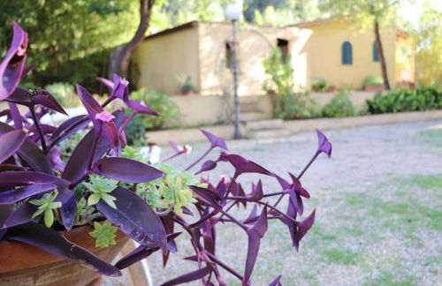 Villa Teresa - Foto 9