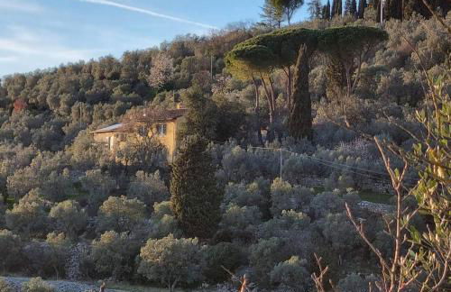 Agriturismo Villa Anna - Foto 27