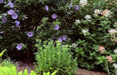 Beautiful House in the Woods, Huge Yard, Hot Tub - Foto 44