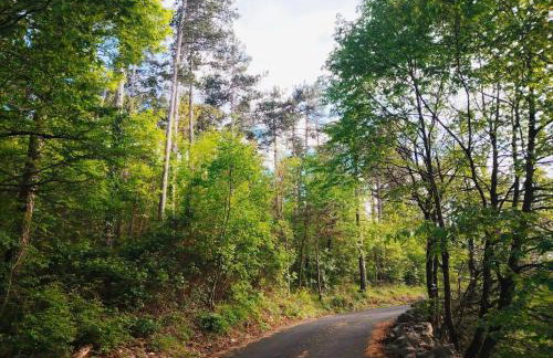 FoREST Heritage Apartment - Foto 41