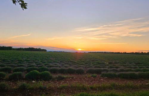 Le Bastidon de Dudule - Foto 17