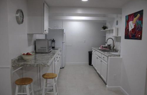 Large Private Central Guest Suite 1-BD 1-BT - Foto 3