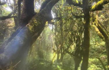 Deluxe Suite 70qm. Toller Blick, super Ausstattung - Foto 22