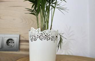 L'Hortet del iaio - Foto 38