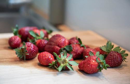 Anemone Holiday Apartment - Foto 16