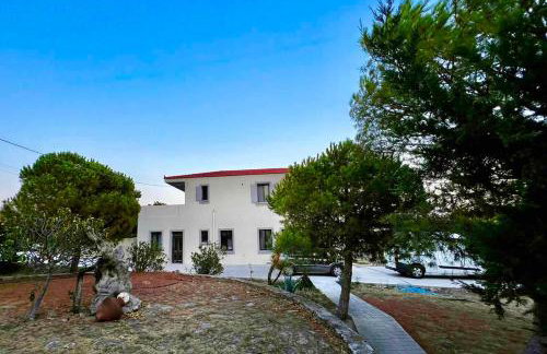 EvgatisBeach Loyskoy 1 - Foto 46