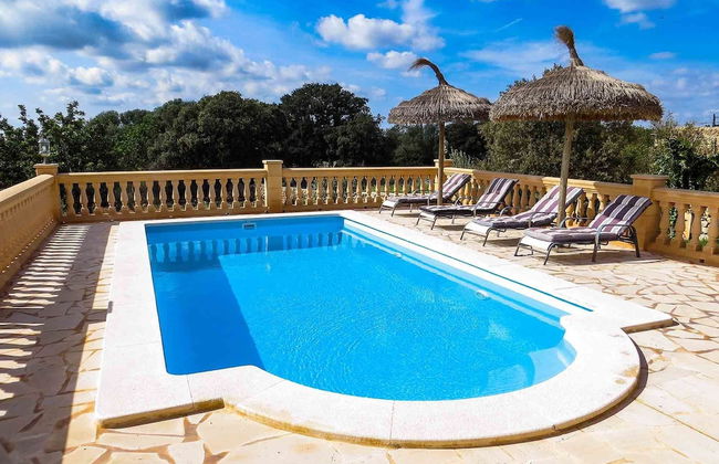 Finca Damian - Foto 16