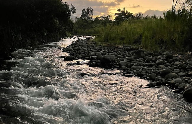 TIPS Vacation - Foto 55