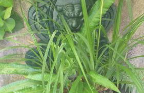 La maison de Léa - Foto 22