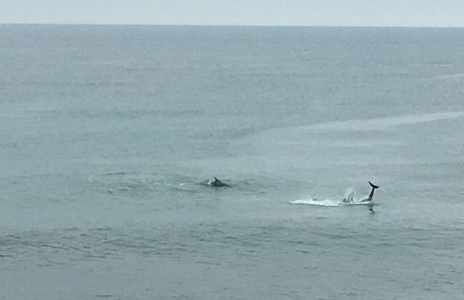 Beachfront Panoramic Seaview Free Wifi & Parking - Photo 18