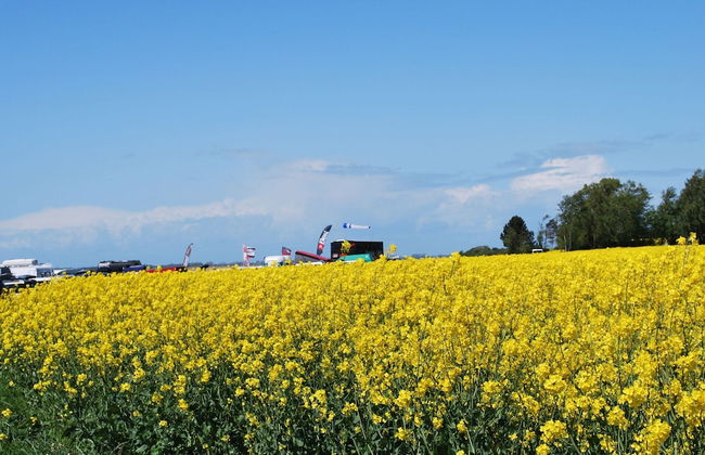 Bungalow in Alt Bukow Near the Beach - Photo 28