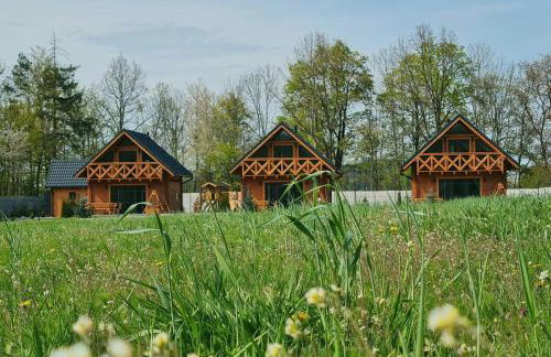 Słoneczne Domki Sudety - Domki Całoroczne Kotlina Kłodzka - Foto 73