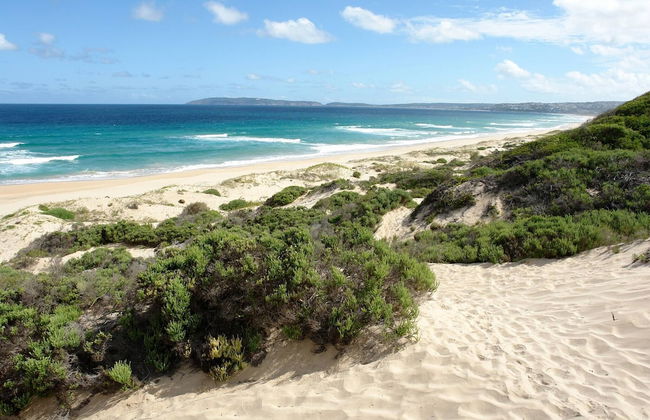 Chalet 40 Entire House Tranquil and Family-friendly Location - Photo 36