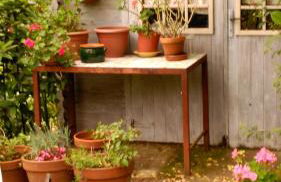 Casa Rural La Posada del Alba - Foto 4