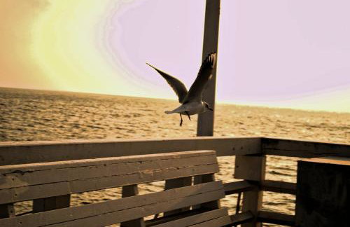 Domek nad jeziorem, a morze w gratisie - Foto 47