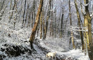 Sweet Sky apartman - Foto 13