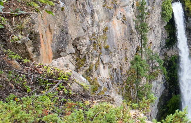 La Encantada Waterfall Tour + Tubing in the Canyon of the Cafre River - Photo 4