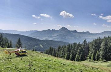 Chez Francine - Photo 33