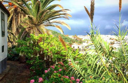 Los Alenes en Flor - Foto 15