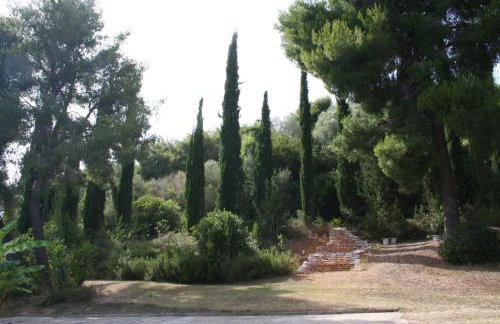 Terry Land Village - Foto 27