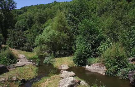 Moulin de Record - Foto 44