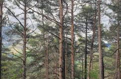 Casa Castel naturaleza y descanso - Foto 14