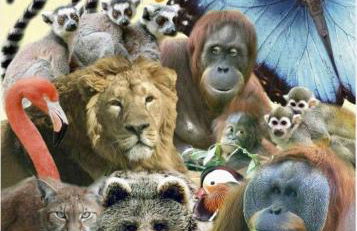 Apartamentos Nel I - Foto 58