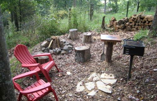 Romantic One-Bedroom Cabin with a Fireplace near Asheville, North Carolina - Foto 10