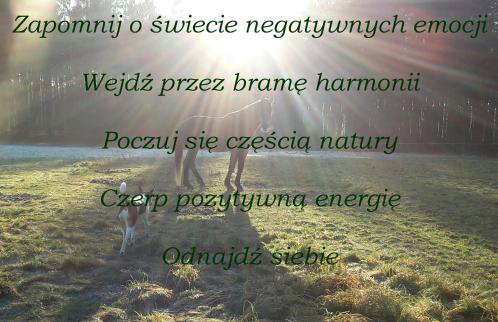 Agroturystyka Polana Harmonii - Foto 18