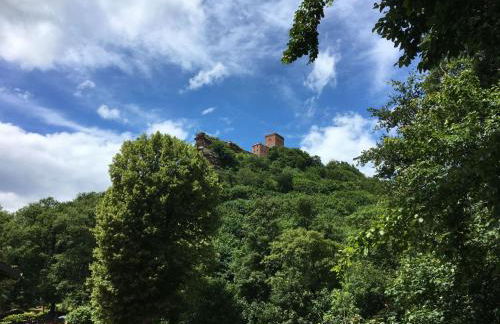 Holiday Home Trifels by Interhome - Foto 35