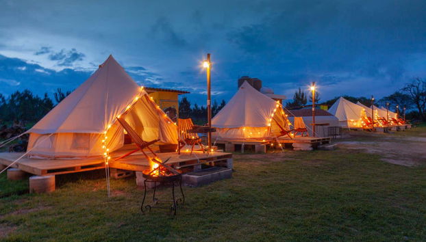 Night at the Firefly Sanctuary - Foto 2